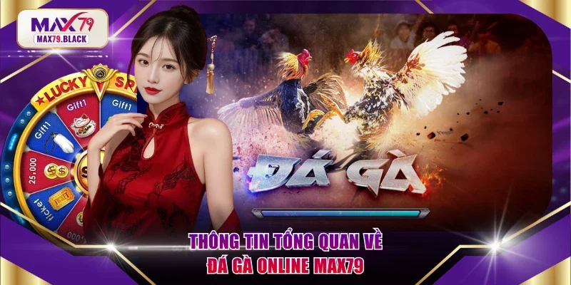 Thông tin tổng quan về đá gà online MAX79